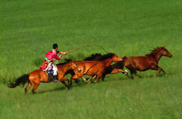 锡林郭勒-乌珠穆沁、乌拉盖3日游